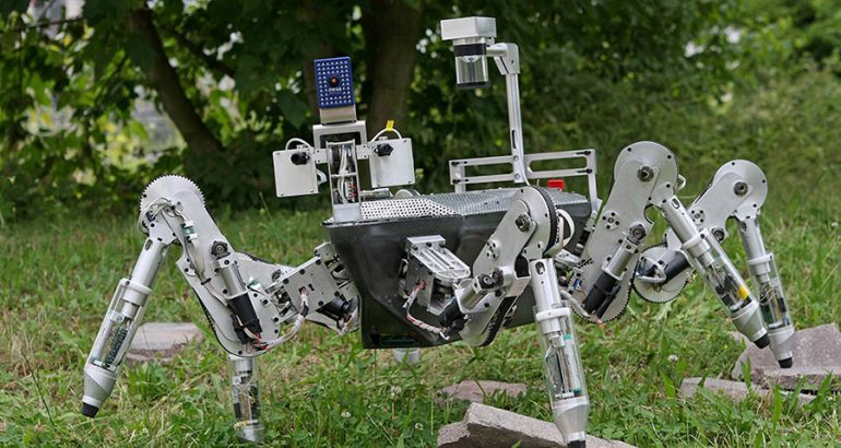 Роботи инспирирани од природата.