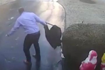 Не очекуваше дека патот е замрзнат (ВИДЕО) Не очекуваше дека патот е замрзнат (ВИДЕО)