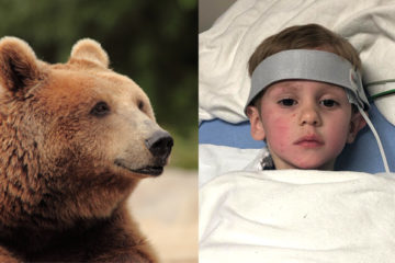Мечка чувала момче кое било изгубено во шума